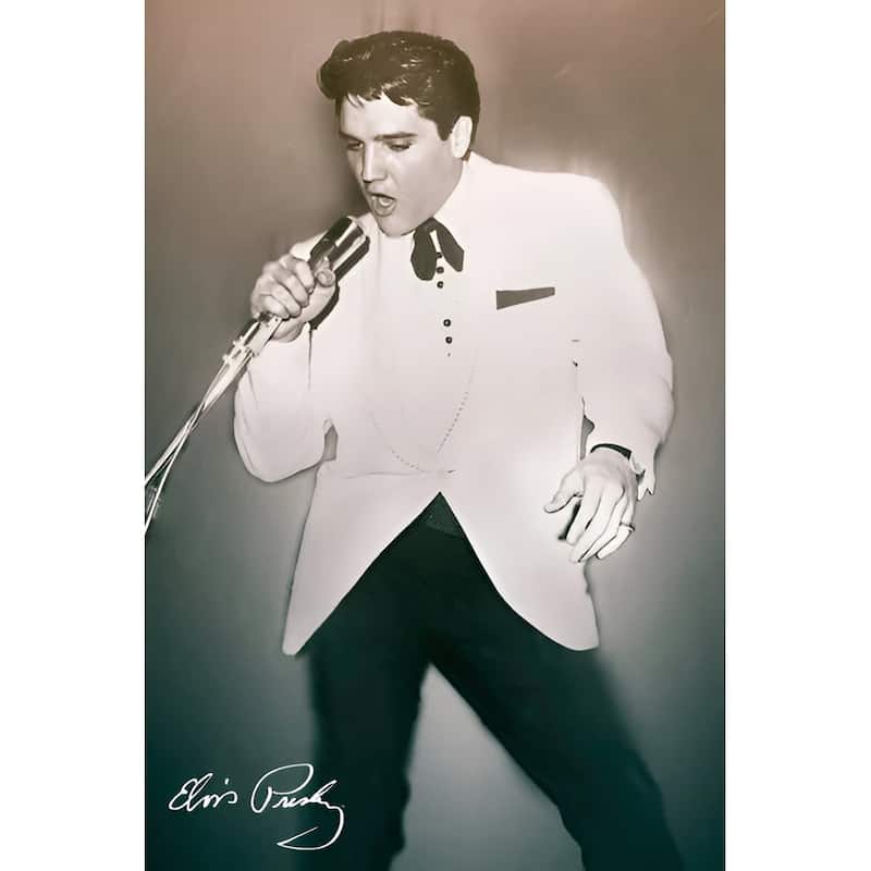 Elvis - Concert Art Poster - 24 x 36 Inch