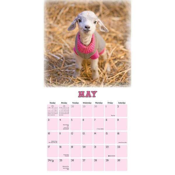 Shop Calendars Lambies In Jammies Goats In Coats Mini Wall Calendar With High Quality Paper Overstock 29018007