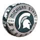 Option Michigan State Spartans