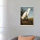 preview thumbnail 7 of 6, iCanvas "Snowy Heron Or White Egret / Snowy Egret " by John James Audubon Canvas Print 26x18x1.5