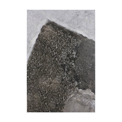 Mudslide III (40 x 60 ) Canvas Art Print