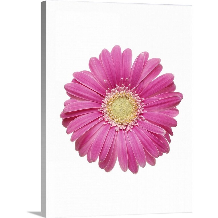 Pink Gerbera Daisy Canvas Wall Art Overstock 25674057