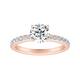 Option Rose