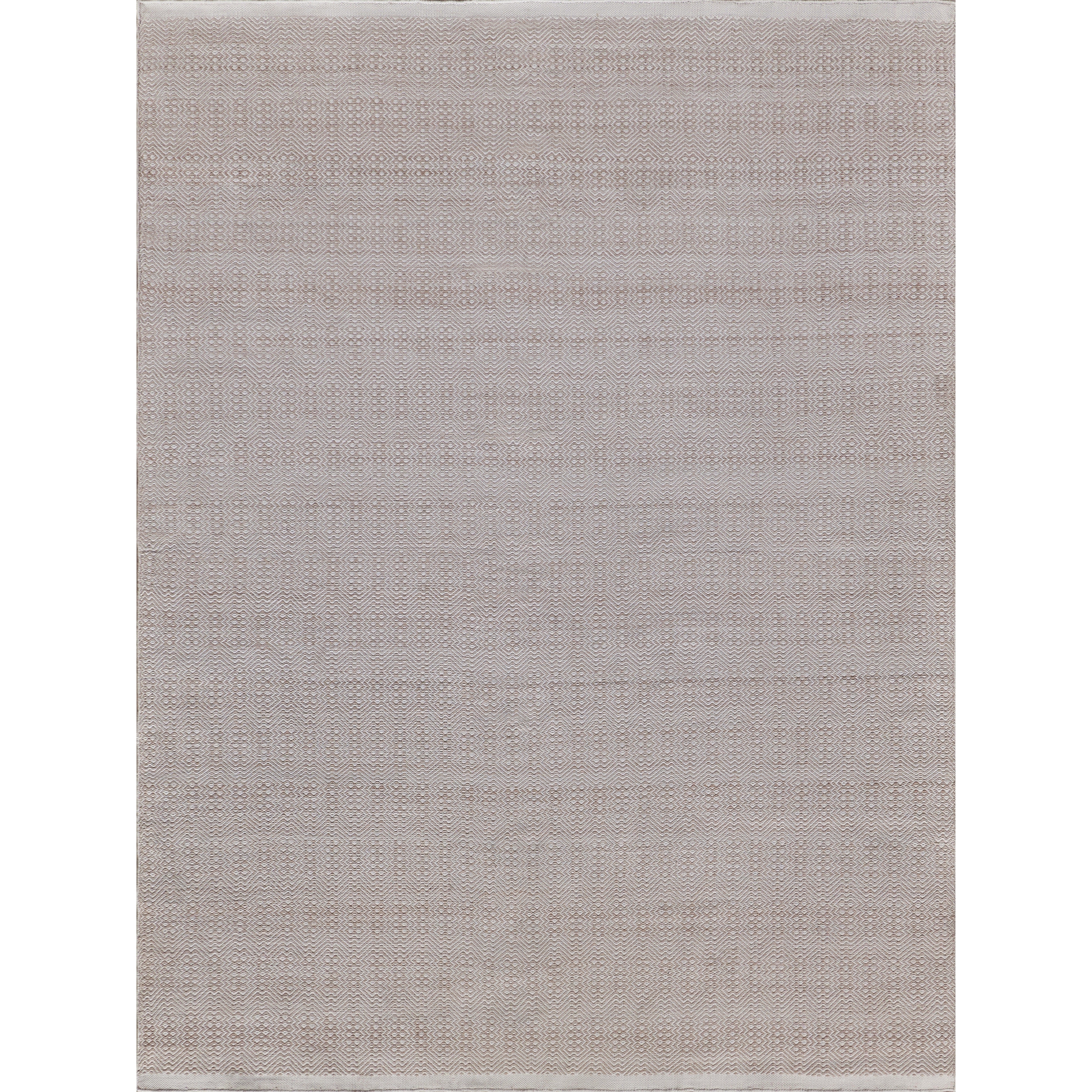 EXQUISITE RUGS Echo Indoor/Outdoor Flatweave PET yarn Ivory/Light Beige Area Rug.