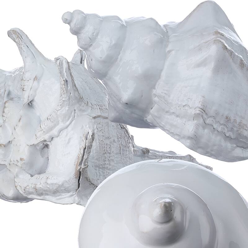 4-5.5" Resin Amalfi Shell