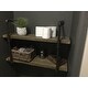 Danya B. Two-tier Industrial Pipe Wall Shelf