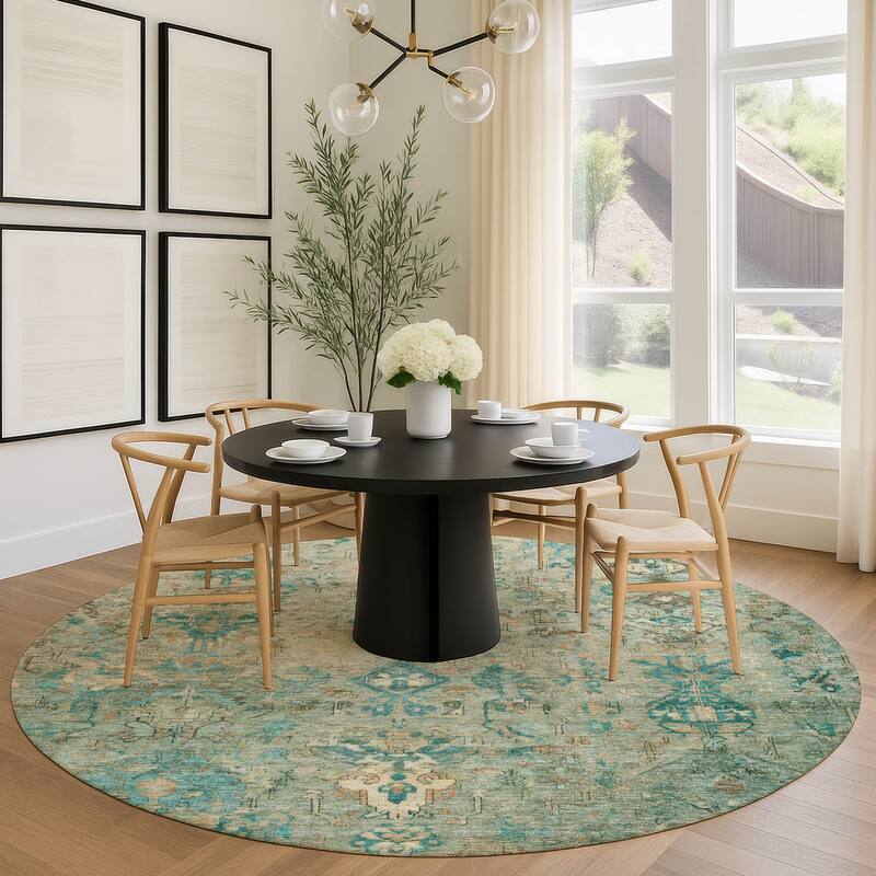 Machine Washable Indoor/ Outdoor Traditional Serenity Chantille Rug