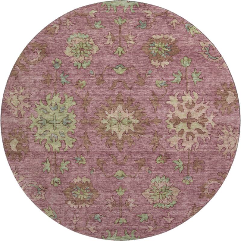 Premium Washable Super Soft Traditional Caply Mayfield Rug