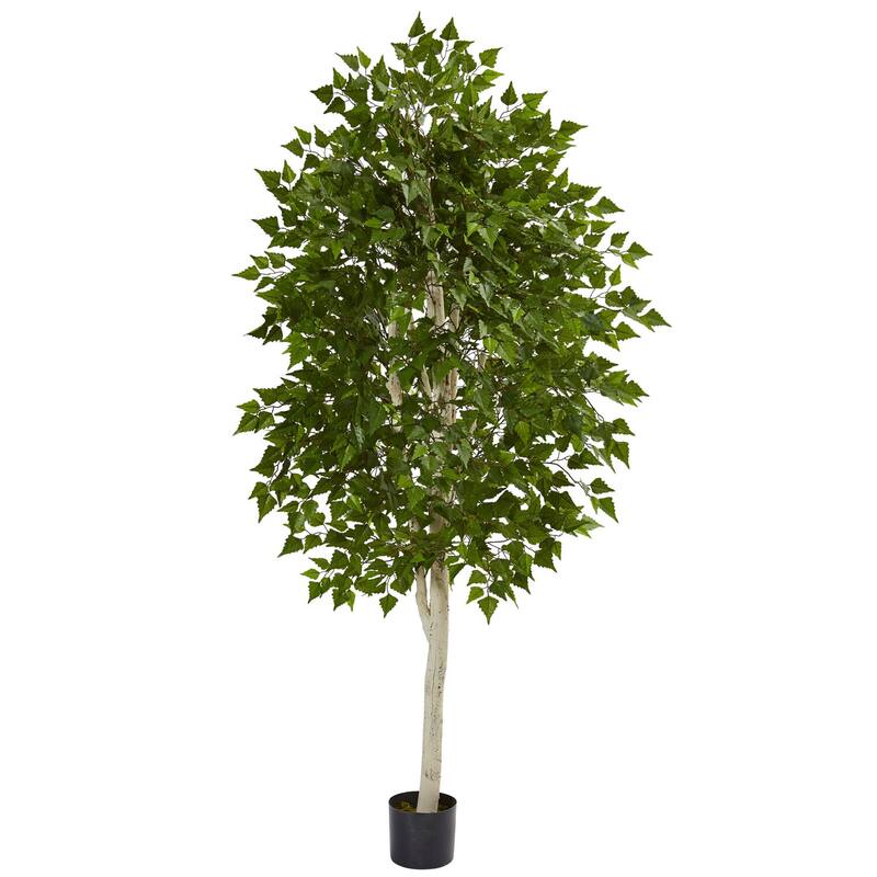 Artificial Birch Tree 6ft - Realistic Indoor Tree Decor - 72" Tall - Home Office Living Room Accent - Green - 61 Inches and Over
