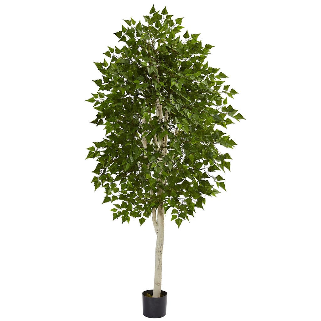 Artificial Birch Tree 6ft - Realistic Indoor Tree Decor - 72" Tall - Home Office Living Room Accent - Green - 61 Inches and Over