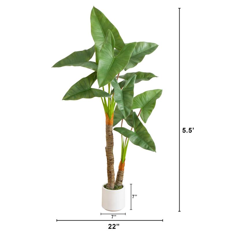 Arrowhead Philodendron Artificial Plant with White Planter - 5.5'