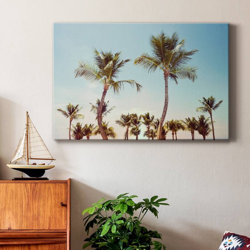 Aruba Palm Premium Gallery Wrapped Canvas - Ready to Hang