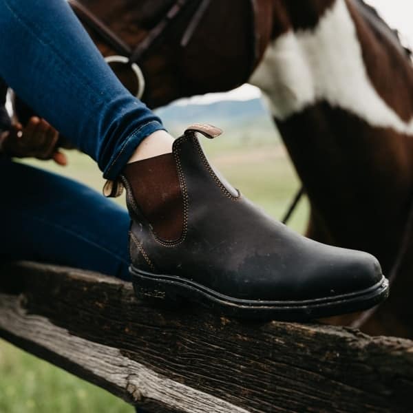 blundstone dress stout brown BLUNDSTONE 500 CHELSEA BOOT main image 1