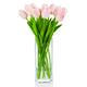 Option Pink