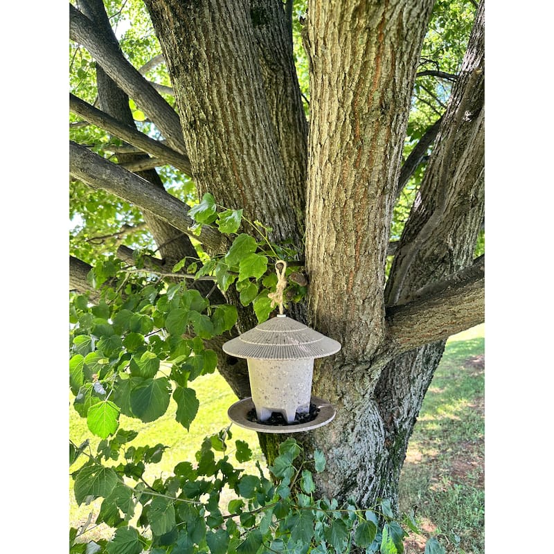 Earthy Sustainable Deluxe Outdoor Round Bird Feeders 8.6"Dia x 7.5"H