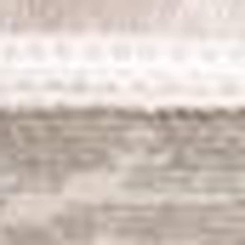 HomeRoots Abstract Modern Rectangle Area Rug