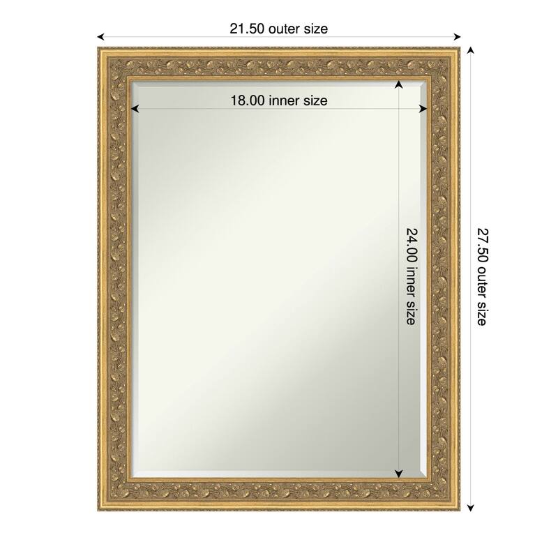 Carter Half-Inch-Bevel Framed Wall Mirror - Carter Dark Gold - 22 x 28 in