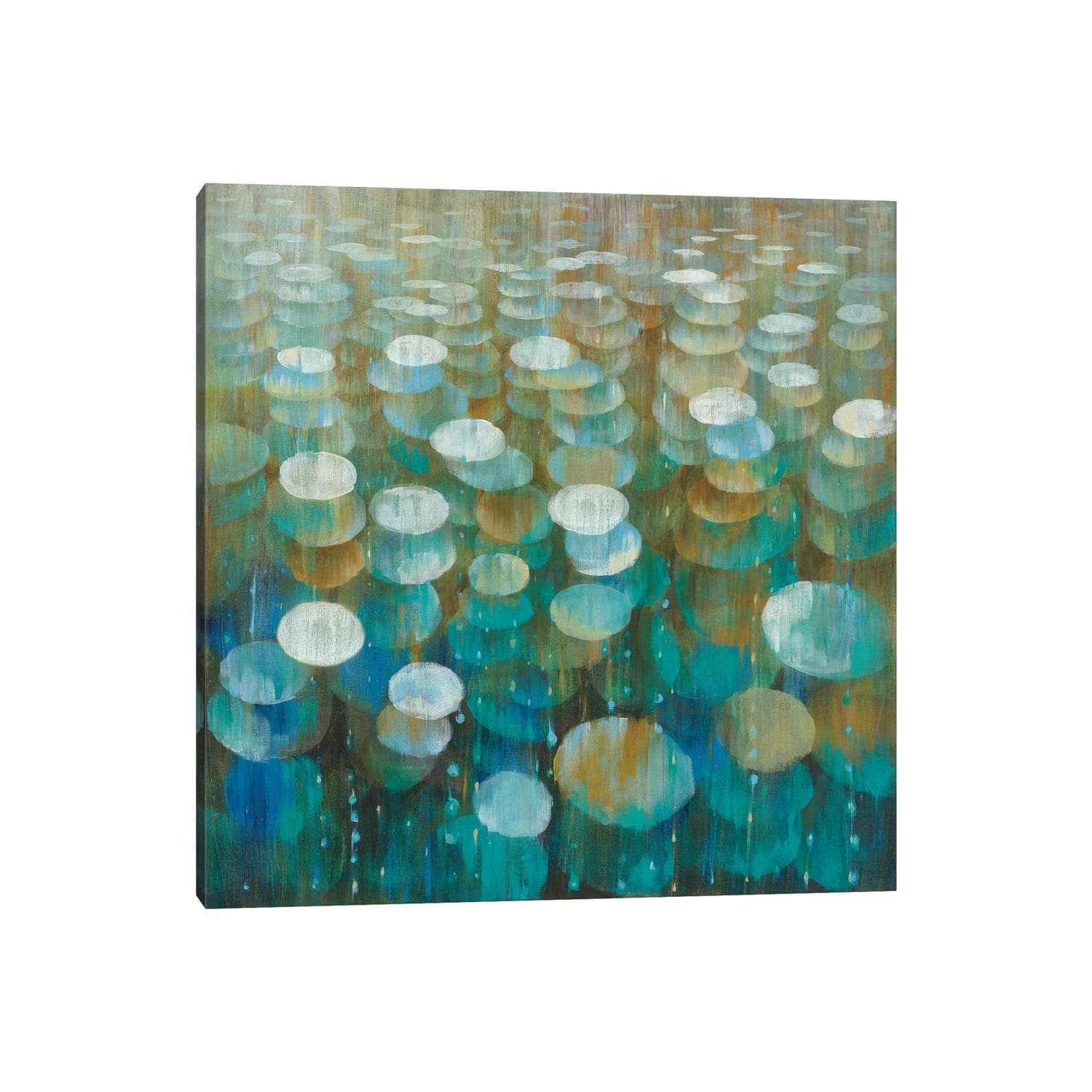 iCanvas "Rain Drops" by Danhui Nai Canvas Print