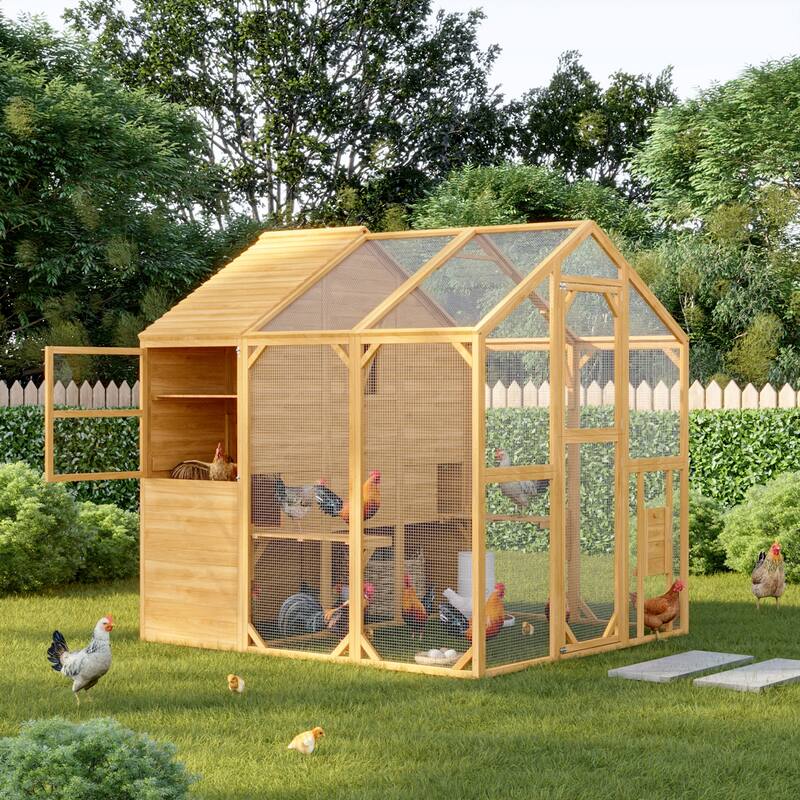 Multi-Functional Wood Chicken Coop Hen House or Cat Cage with Wire Mesh Run