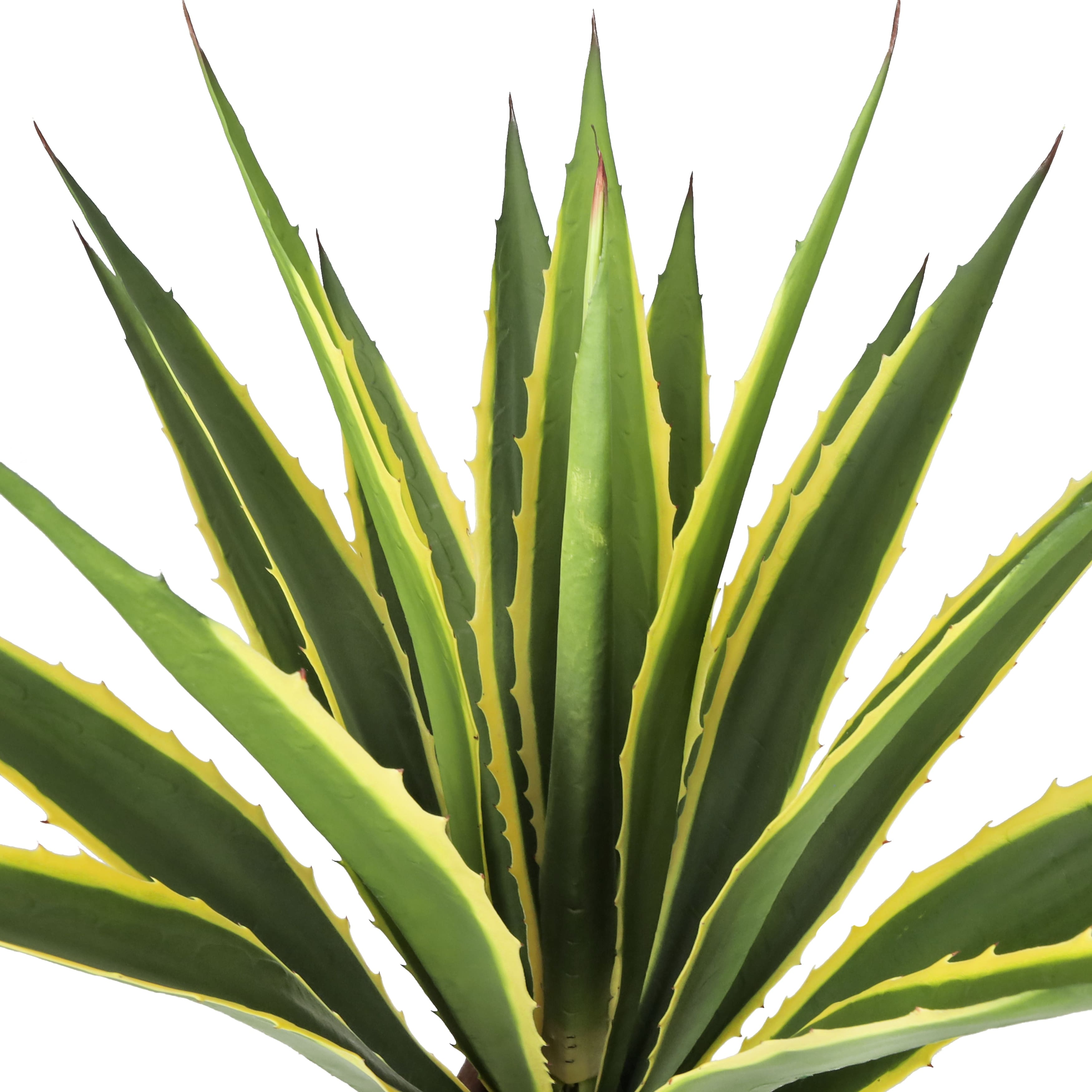 38in Yellow Green Artificial Agave Succulent Plant in Tiered Black Pot