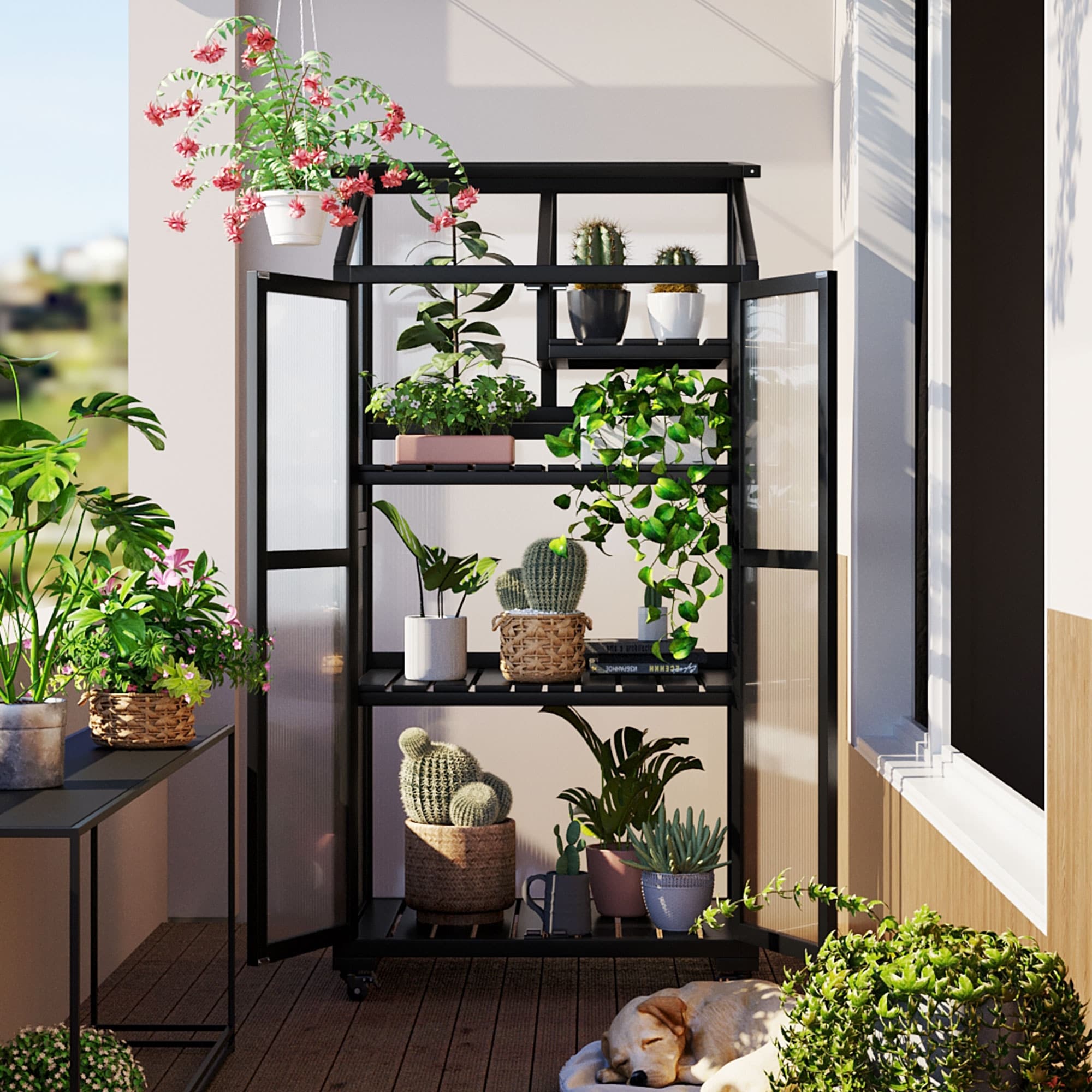 62inch Height Wood Large Greenhouse Balcony Portable Cold Frame with Wheels and Adjustable Shelves for Outdoor Indoor Use