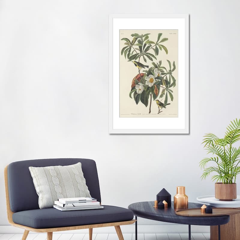 iCanvas "Bachman's Warbler & Franklinia" by John James Audubon