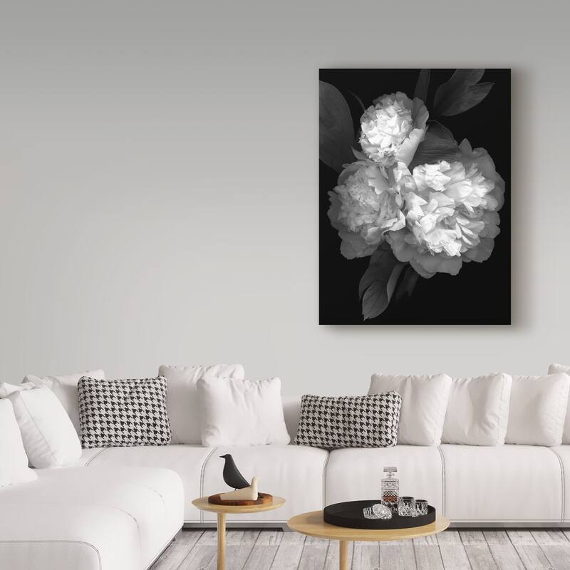 Susan S. Barmon 'Peony 3 Black And White' Canvas Art