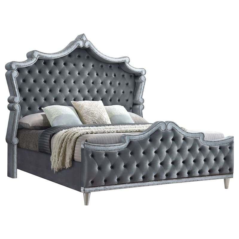 Antonella Modern Classic Velvet Upholstered Panel Bed