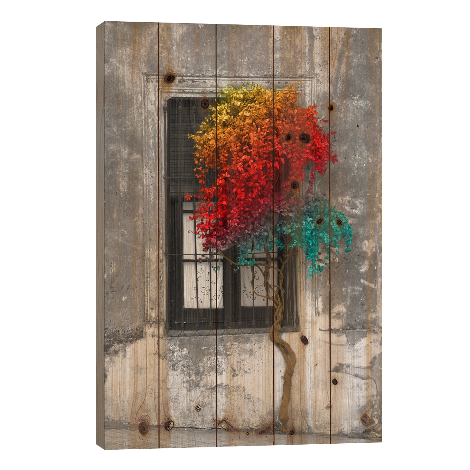Tree in Front of Window Rainbow Pop Color Pop Print On Wood by Panoramic Images - Multi-Color