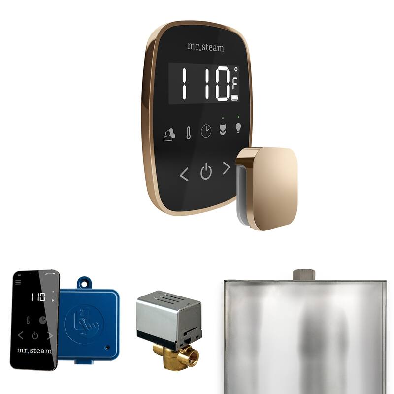 Mr Steam BF Butler Flex Package Steam Shower Control Package with - Black / Polished Gold