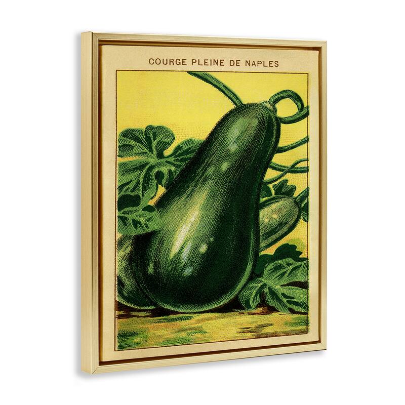 Stupell Country Vintage Squash Framed Floater Canvas Wall Art Design By Lil' Rue