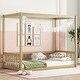 preview thumbnail 21 of 93, Canopy frame floor bed