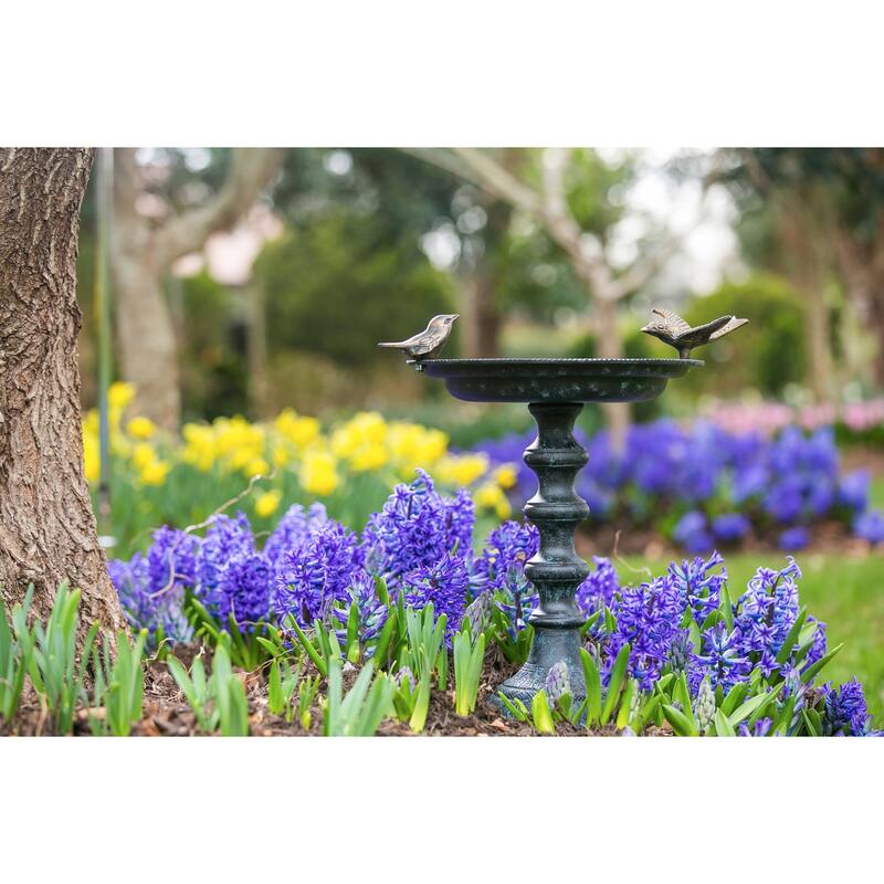 19 in. Cast Iron Bird Bath on Pedestal