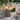 Dining Table for Home Improvement Acacia Wood Durable Material Grey