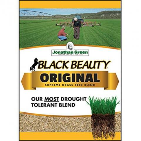 Jonathan Green 10317 Black Beauty Grass Seed Blend, Up To 4500 Sq.Ft, 15 Lbs - 15 Lbs
