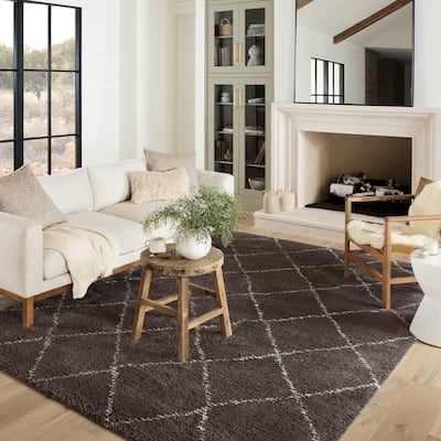 Alexander Home Kazi Modern Trellis Shag Area Rug