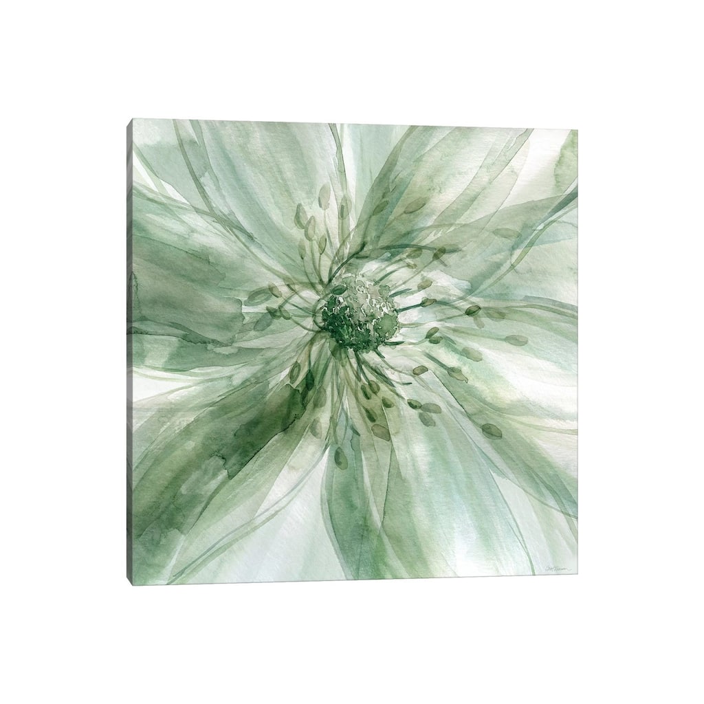 iCanvas "Macro Sage Flower I" by Carol Robinson Canvas Print