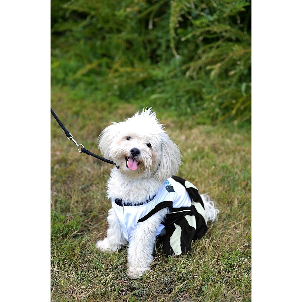 Shop Nfl Carolina Panthers Cheerleader Dress For Dogs And Cats