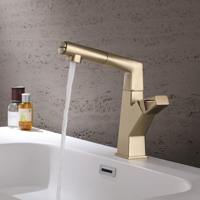 Single Handle Double-Function Liftable Pull Out Bathroom Sink Faucet