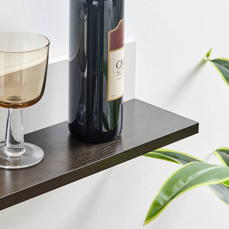 Danya B. Repose Display Photo Ledge Shelf Set of 2
