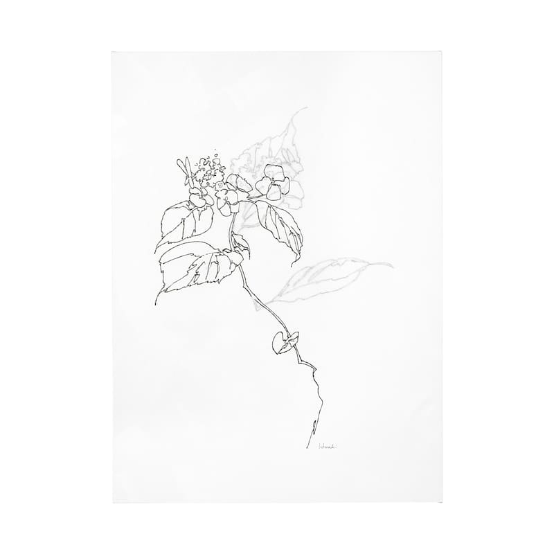 Arrangement I (44 x 60) Canvas Art Print - Large