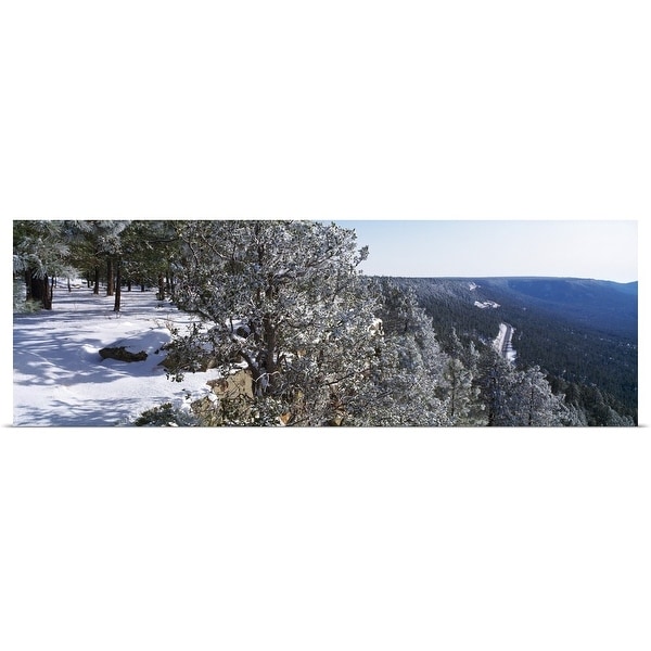 "Trees covered with snow, Mogollon Rim, Tonto National Forest, Zane Grey Country, Arizona" Poster Print