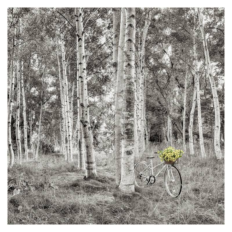 Sunflower Bicycle Ride by Alan Blaustein Canvas Art Print