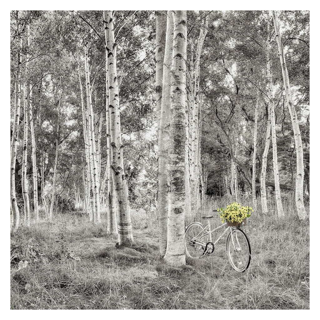 Sunflower Bicycle Ride by Alan Blaustein Canvas Art Print