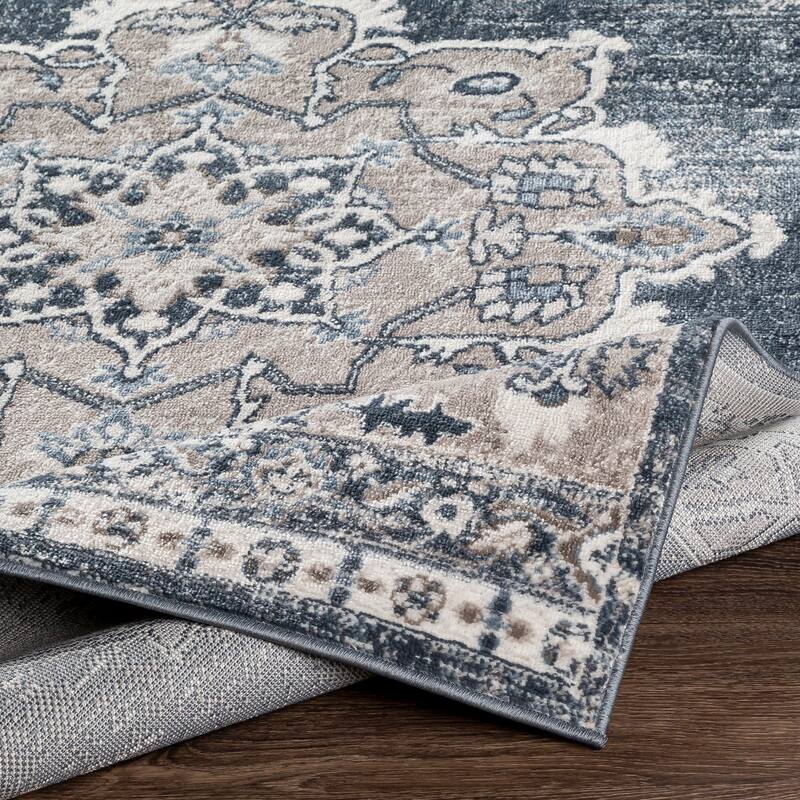 Moesha Traditional Medallion Area Rug