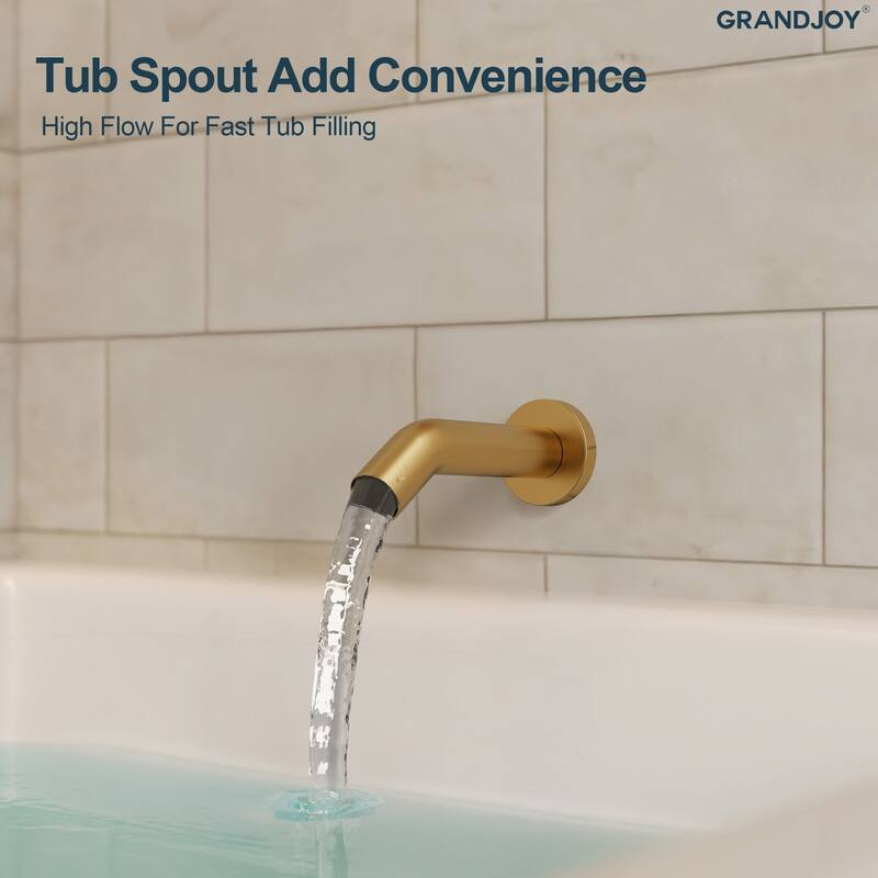 GRANDJOY Wall-Mount 2-Function Shower and Tub System with Pressure Balance Valve