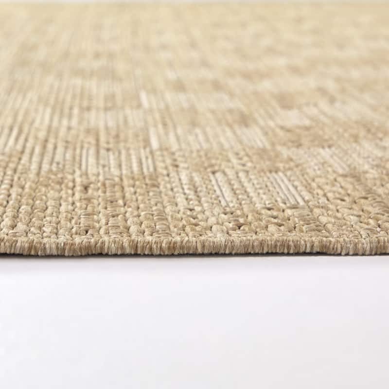 Osborne Checkered Indoor/Outdoor Area Rug