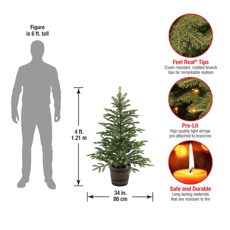 National Tree Company 4 ft. Norwegian Spruce Entrance Tree with Clear Lights - 4 Foot