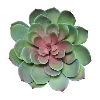 Large Green Red Artificial Lotus Succulent Stem Plant Greenery Pick Spray Branch 8.5in - 6.5" H x 8.5" D