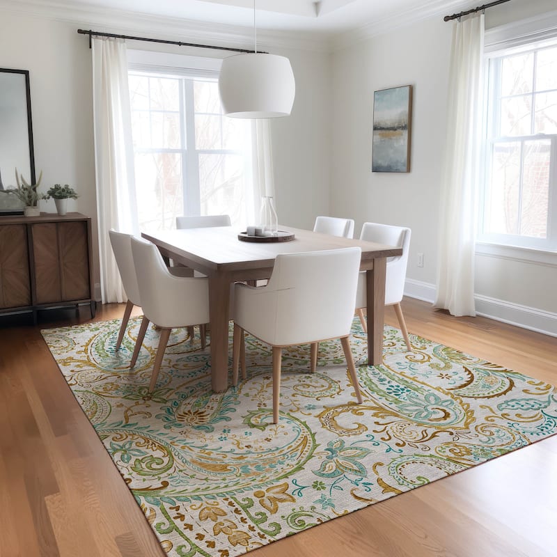 Machine Washable Indoor/ Outdoor Paisley Chantille Rug - Ivory - 8' x 10'
